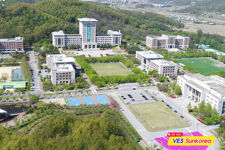 Đại học Sunmoon Hàn Quốc - Zila
